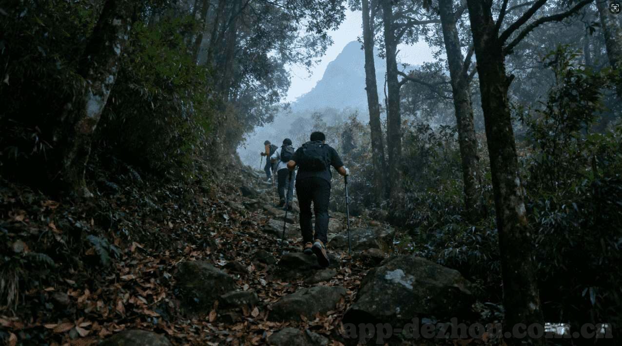 各个澳门赌场筹码图片-澳门赌场筹码图片，历史、种类与收藏价值